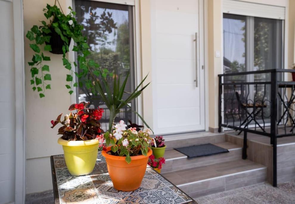 Elenis Cozy Apartment Лариса Экстерьер фото